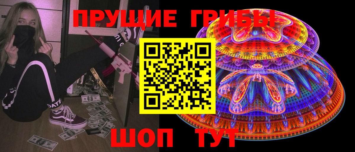 Псилоцибиновые грибы Cubensis Зерноград